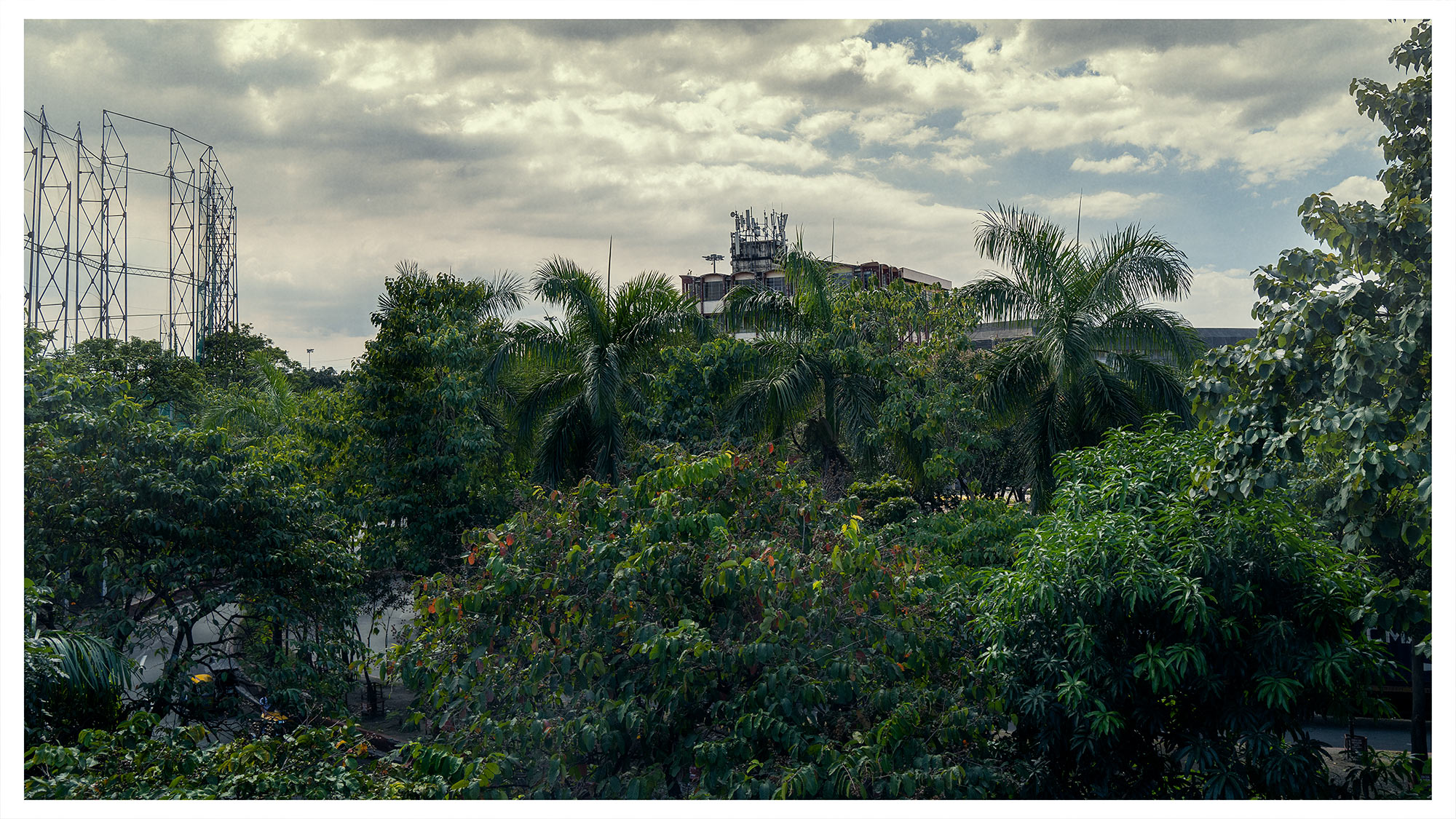 Goodboywolf_Phillippines_Land24