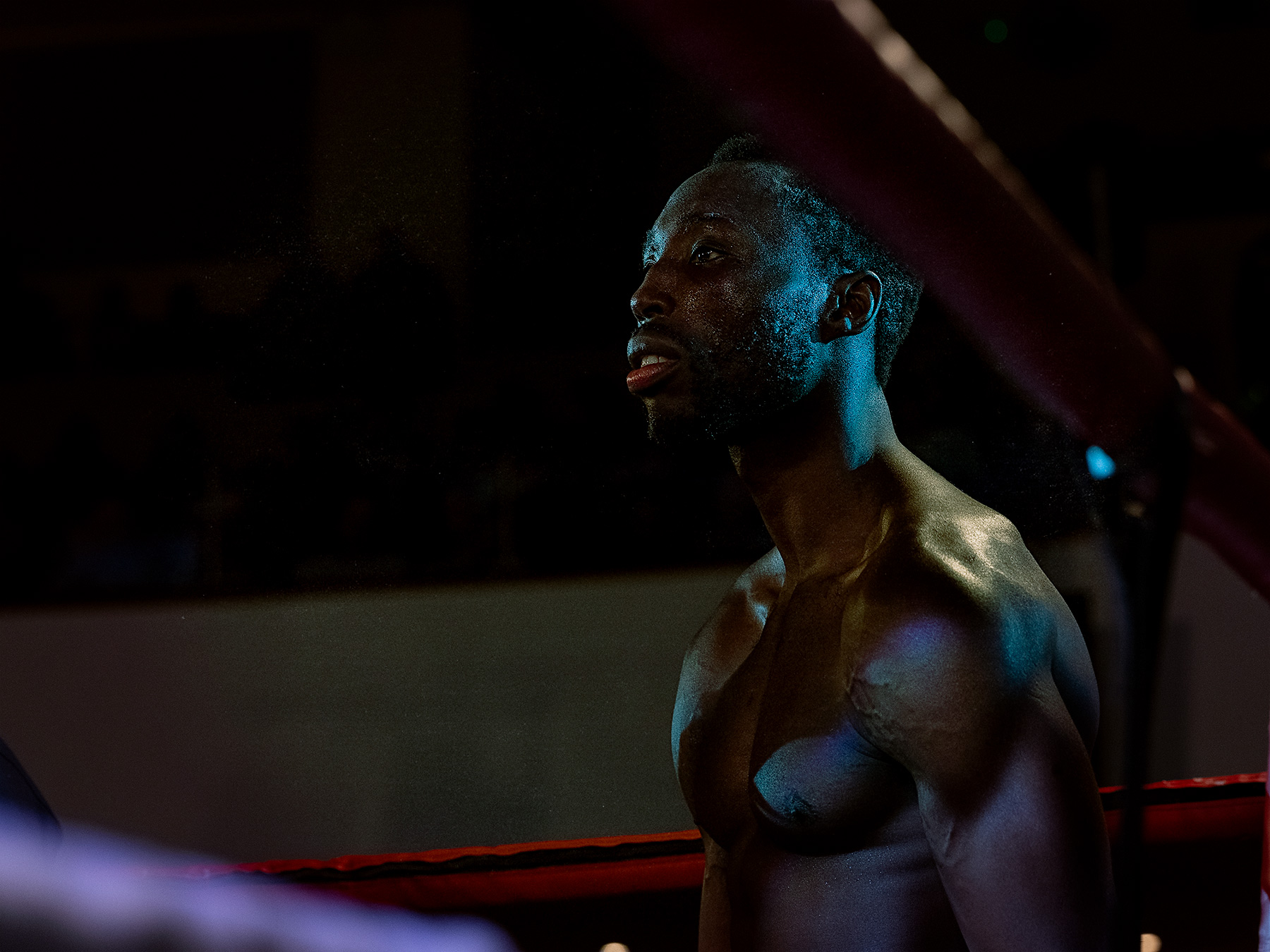Good Boy Wolf Photographer, filmic portrait,  boxer in the boxing ring 
