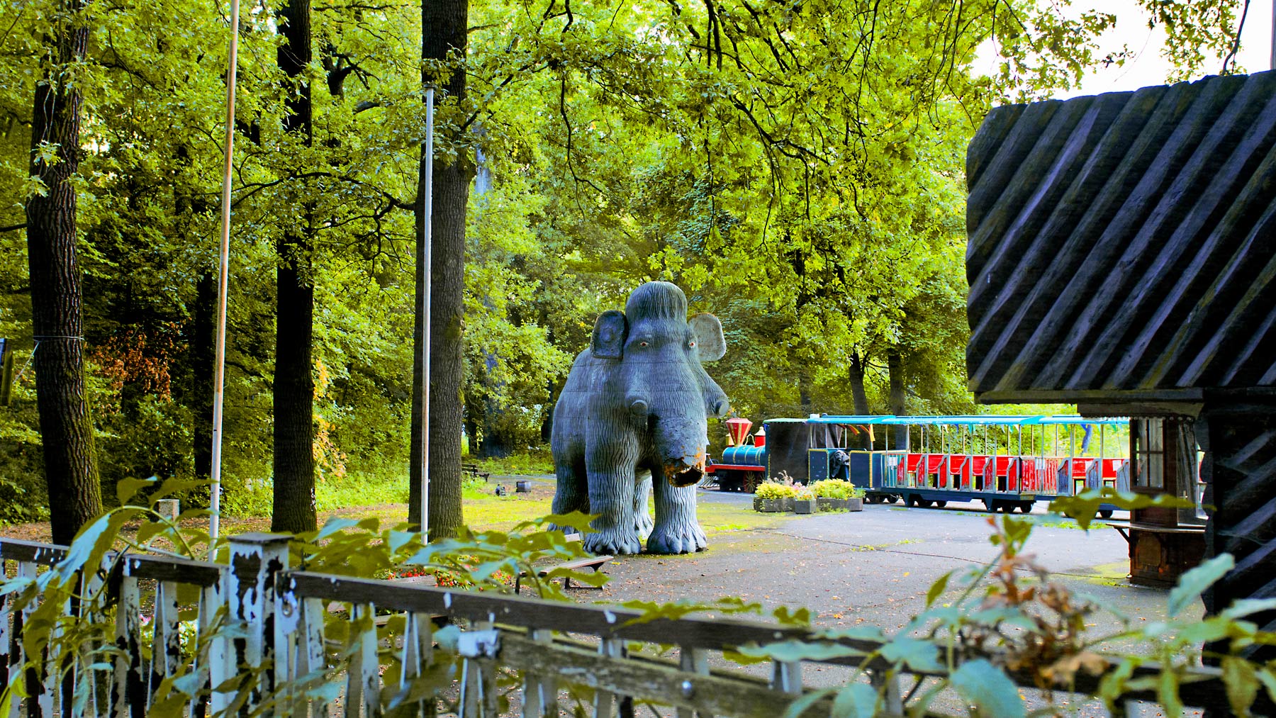 Good Boy Wolf Photographer, filmic landscape, Berlin elephant surrounded by trees 