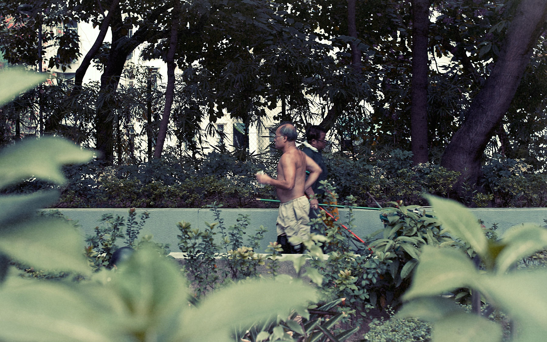 Good Boy Wolf Photographer, filmic landscape,  Chinese man running in a park with his top off 