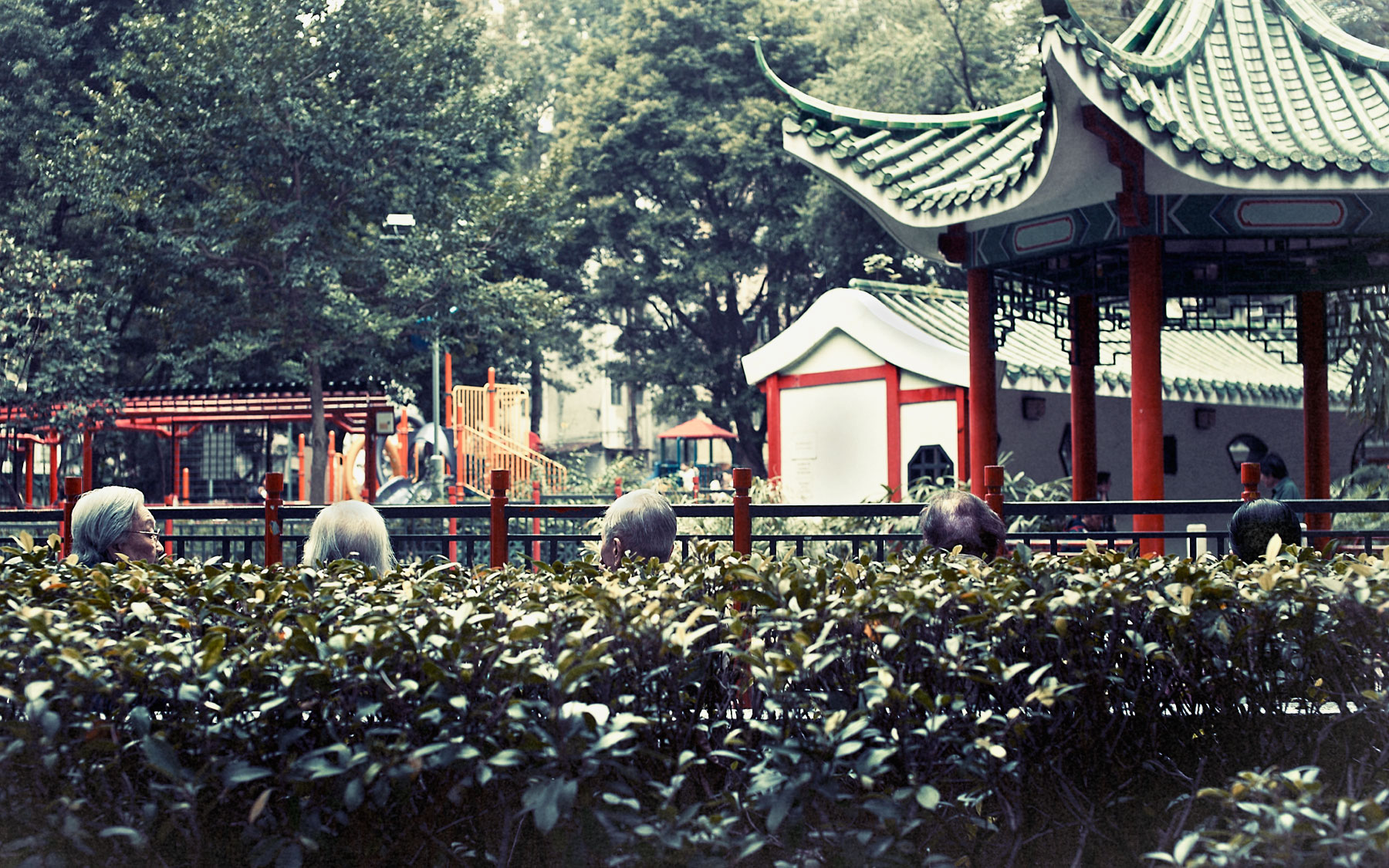 Good Boy Wolf Photographer, filmic landscape,  Hong Kong women sitting on a park bench 