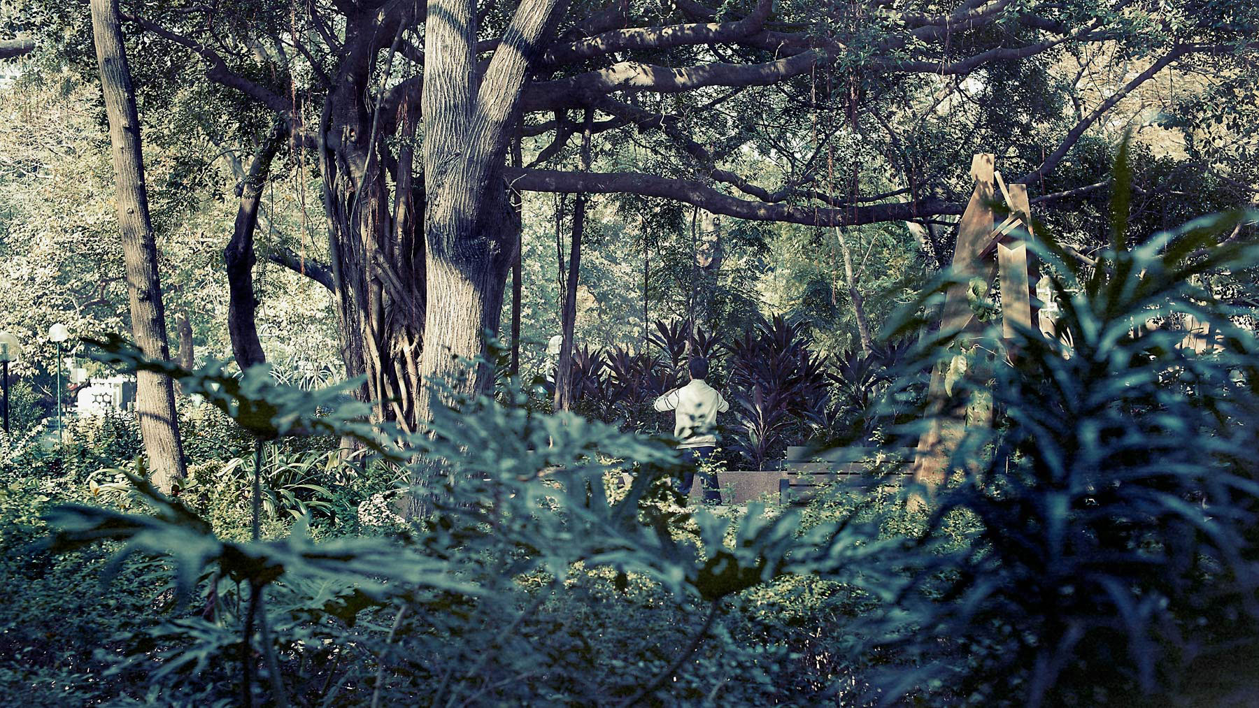 Good Boy Wolf Photographer, filmic landscape, Hong Kong park 