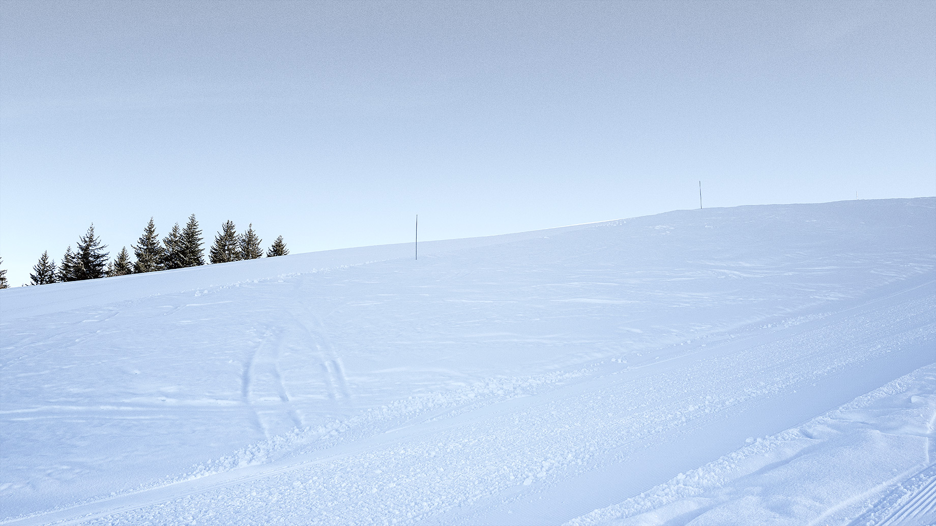 Good Boy Wolf Photographer, filmic portrait, lesgets snow covered hills